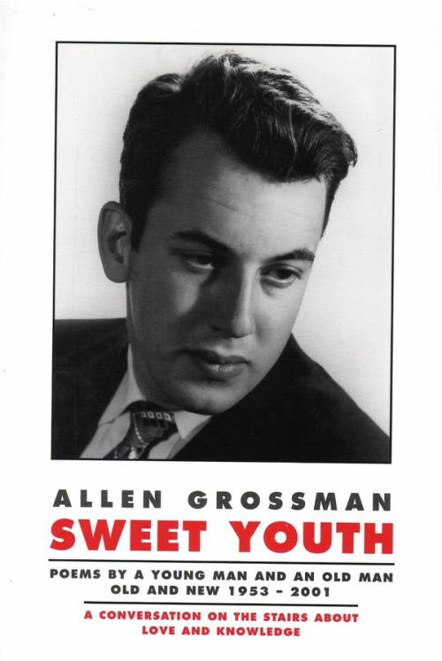 cover image of the book Sweet Youth