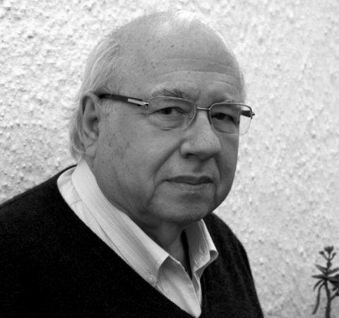 Portrait of Luis Verissimo