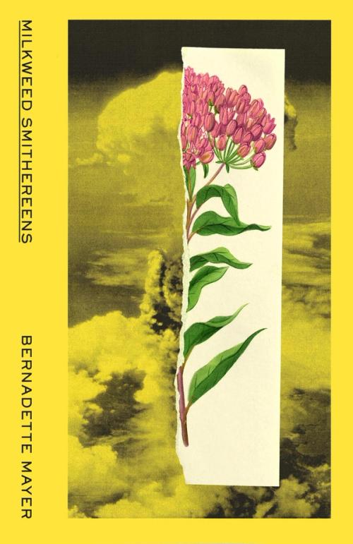 cover image of the book Milkweed Smithereens