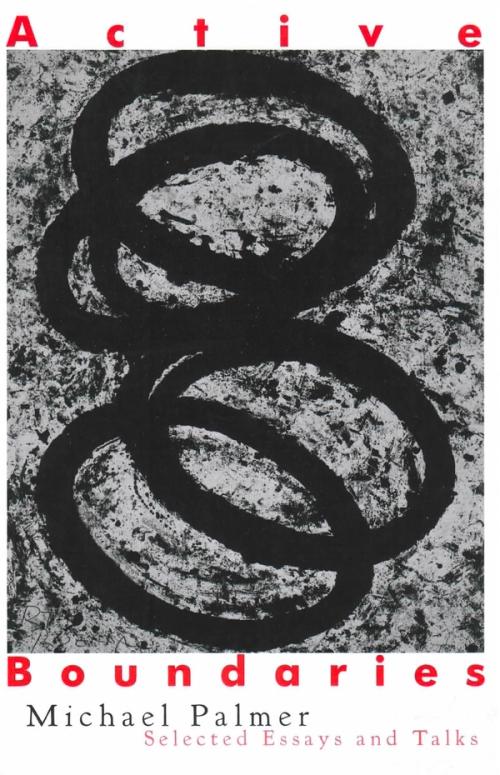 cover of the book Active Boundaries