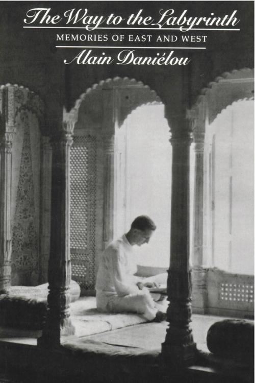 cover of the book The Way To The Labyrinth