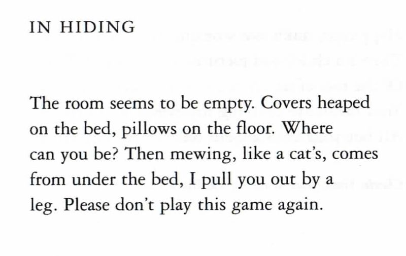 Image by New Direction