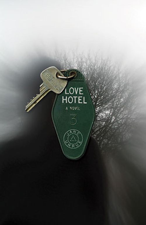 cover image of the book Love Hotel