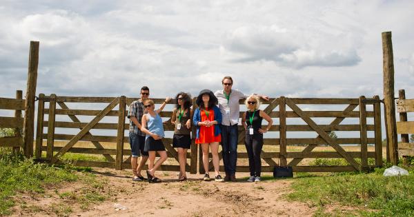 Image by New Direction