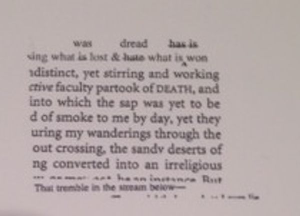 Image by New Direction