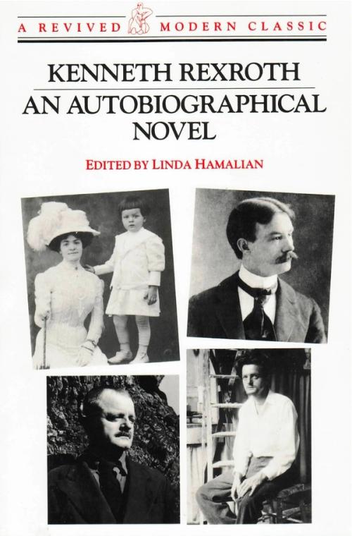 cover of the book An Autobiographical Novel