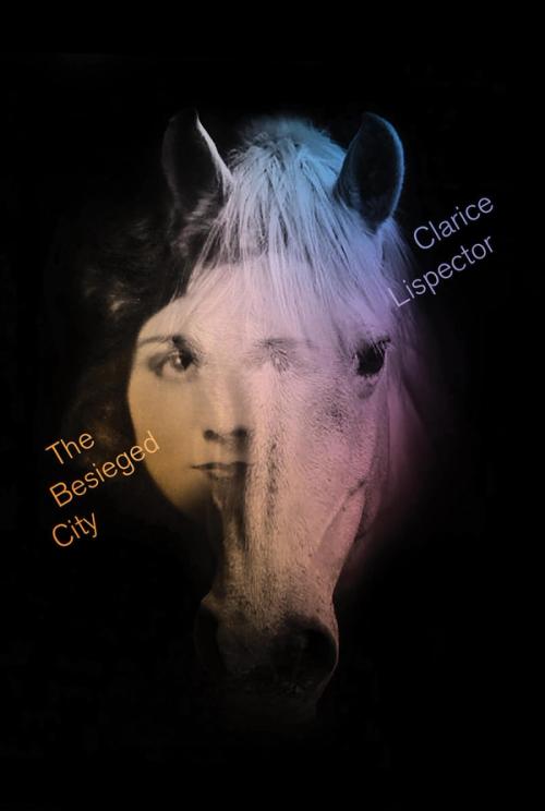 cover of the book The Besieged City