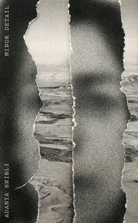 cover of the book Minor Detail