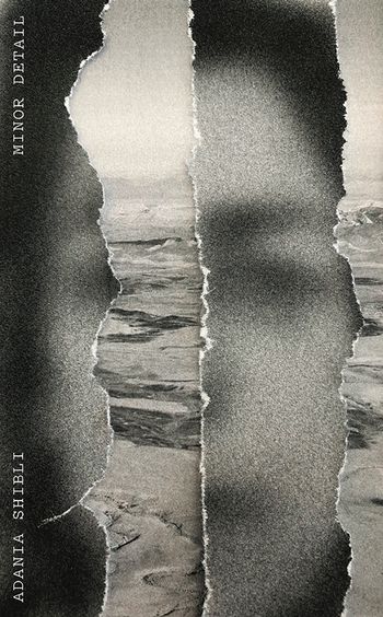 cover of the book Minor Detail