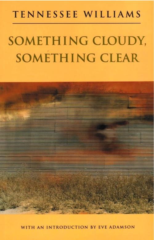 cover of the book Something Cloudy Something Clear