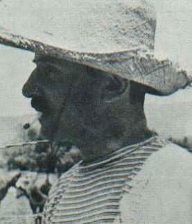 Portrait of Nathanael West