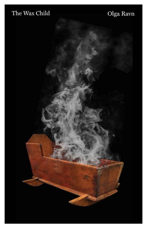 cover image of the book The Wax Child