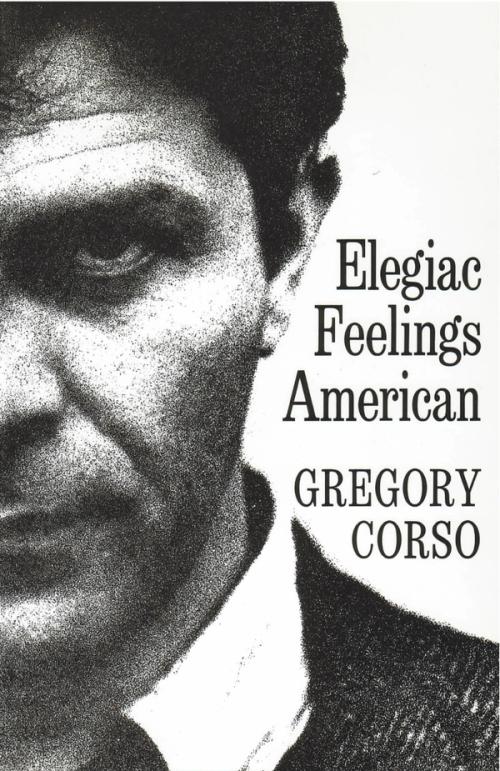 cover of the book Elegiac Feelings American