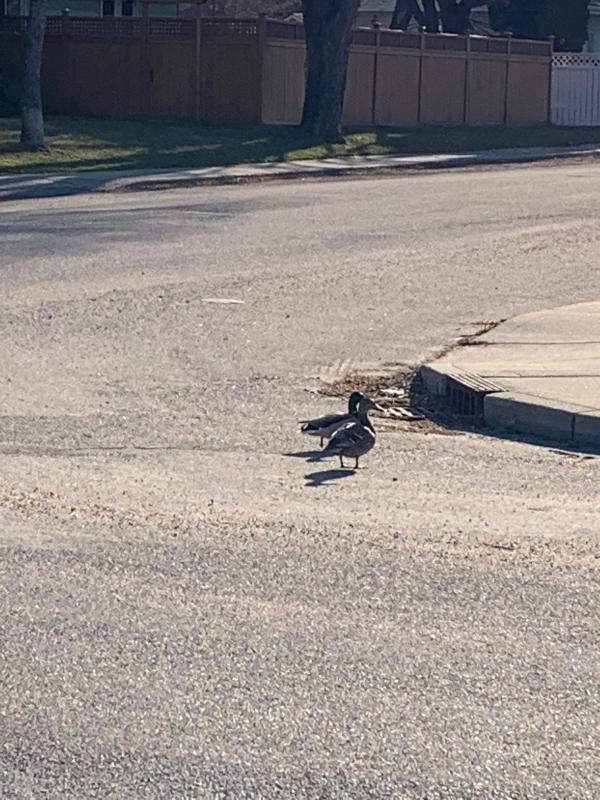 Image by New Direction