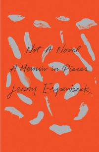 cover of the book Not a Novel