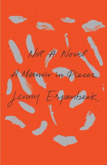 cover image of the book Not a Novel