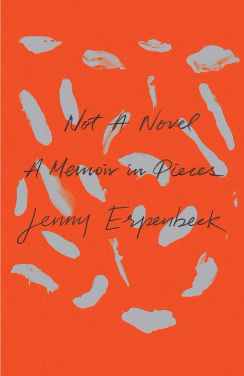 cover image of the book Not a Novel