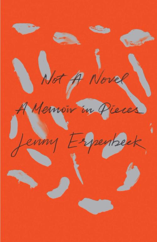 cover of the book Not a Novel