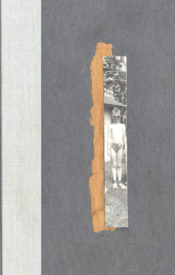cover of the book Nox