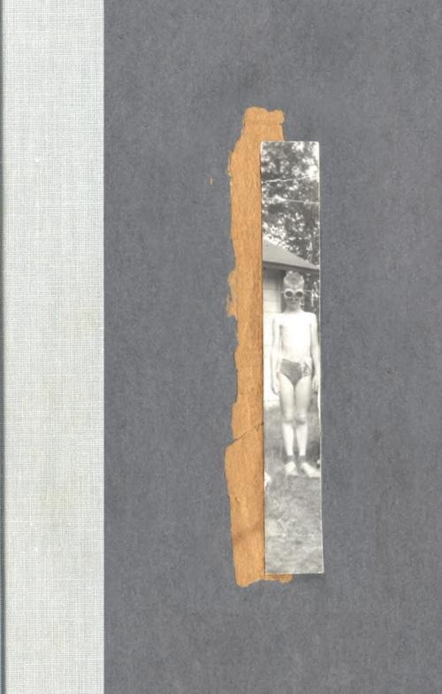 cover of the book Nox