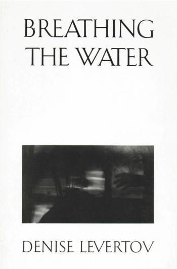 cover image of the book Breathing The Water