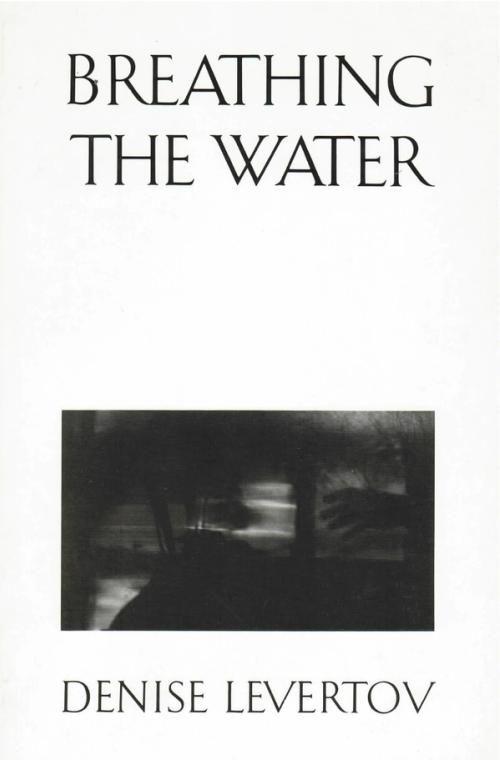 cover image of the book Breathing The Water