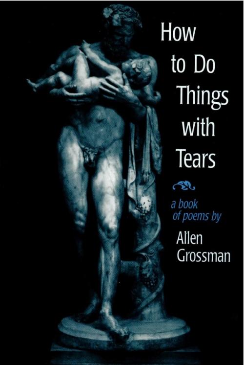 cover of the book How To Do Things With Tears