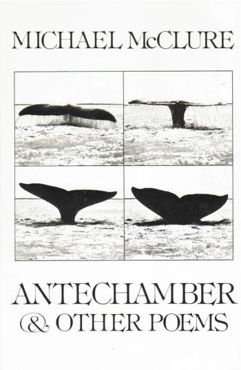cover image of the book Antechamber And Other Poems
