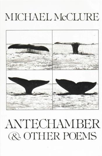 cover of the book Antechamber And Other Poems
