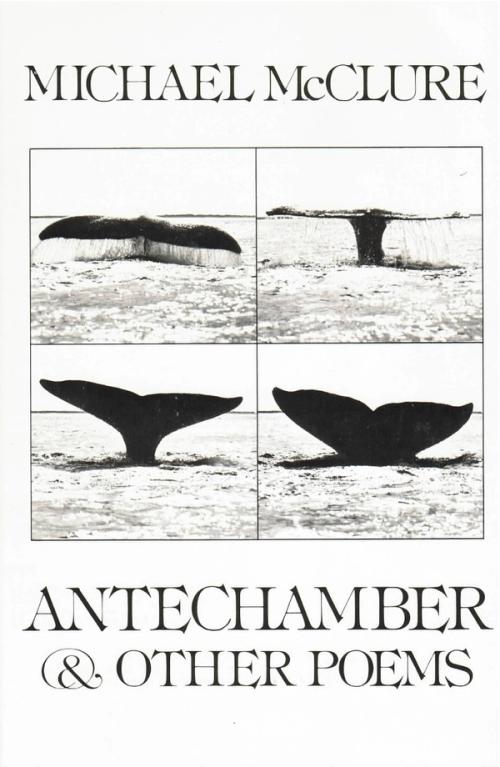 cover of the book Antechamber And Other Poems