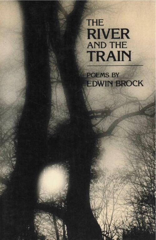 cover image of the book The River And The Train