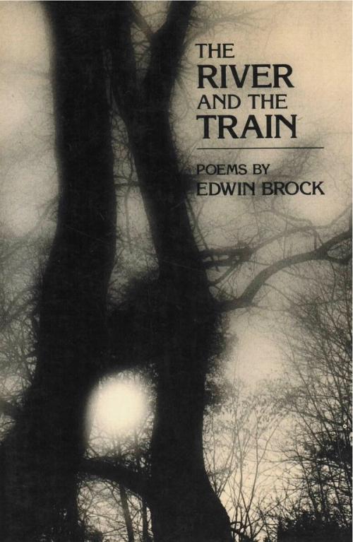 cover of the book The River And The Train