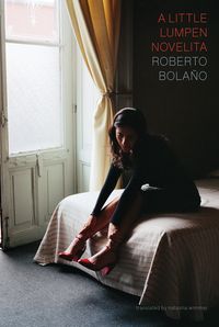 cover of the book A Little Lumpen Novelita