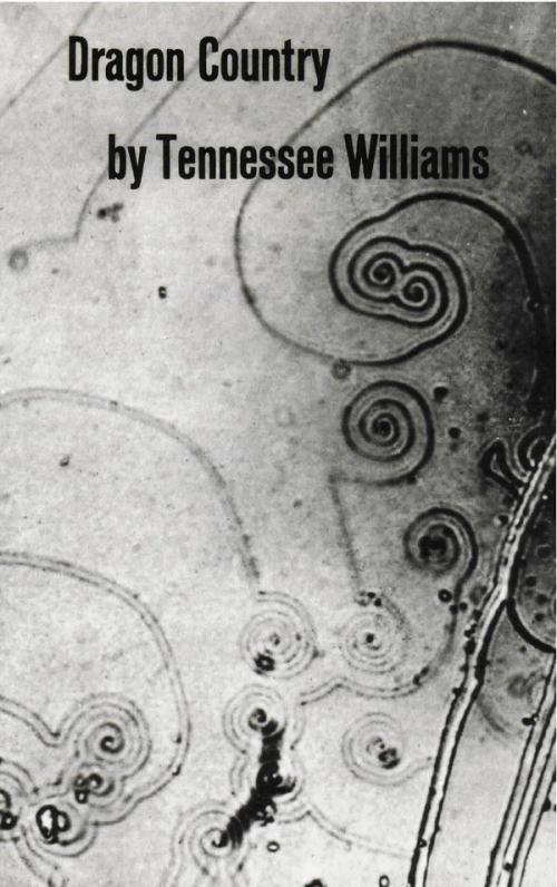 cover of the book Dragon Country