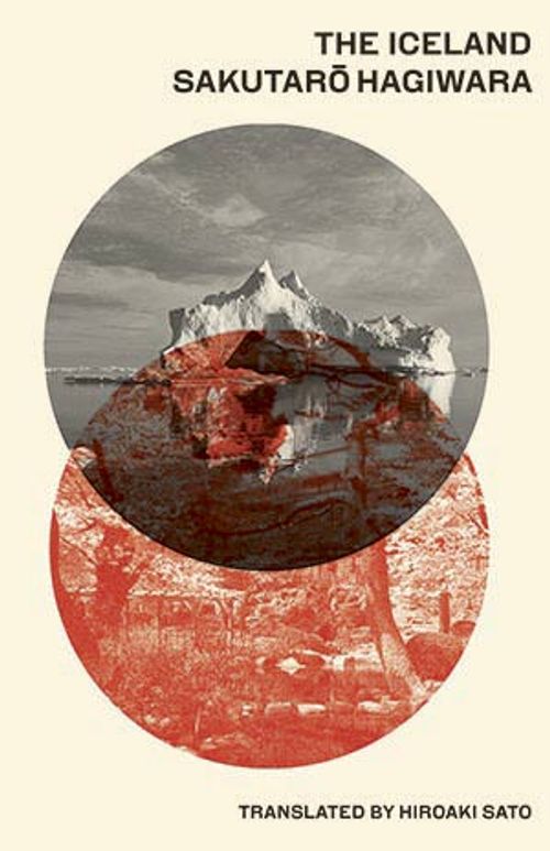 cover image of the book The Iceland