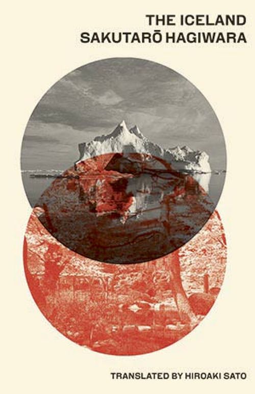 cover of the book The Iceland