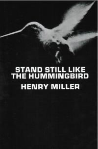 cover image of the book Stand Still Like The Hummingbird