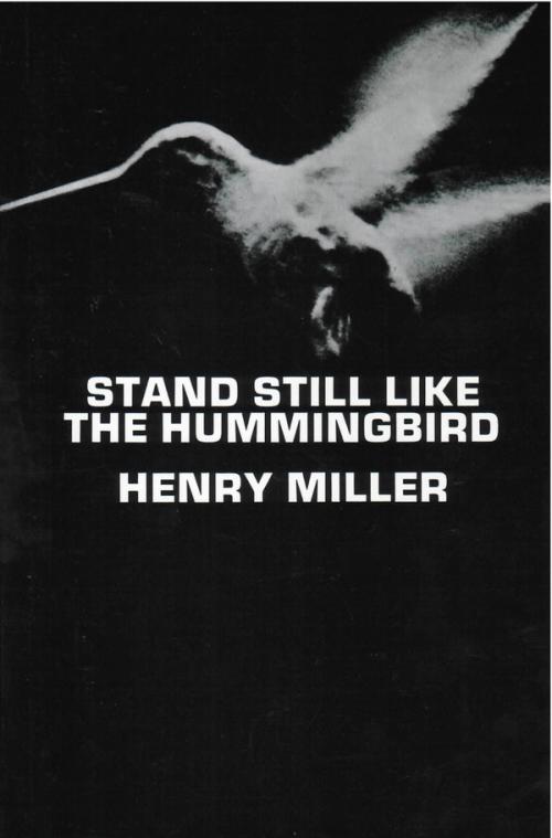 cover of the book Stand Still Like The Hummingbird