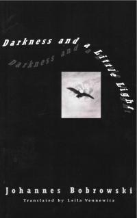 cover of the book Darkness and a Little Light