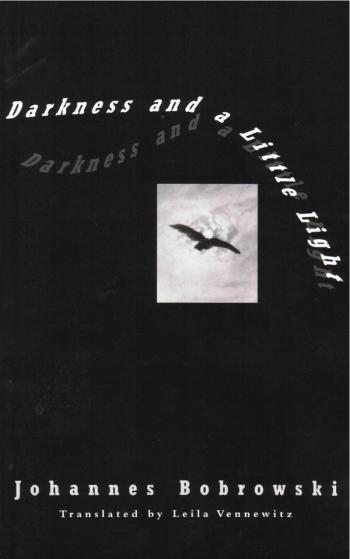 cover of the book Darkness and a Little Light