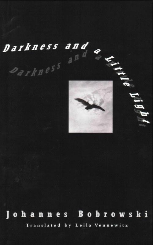 cover image of the book Darkness and a Little Light