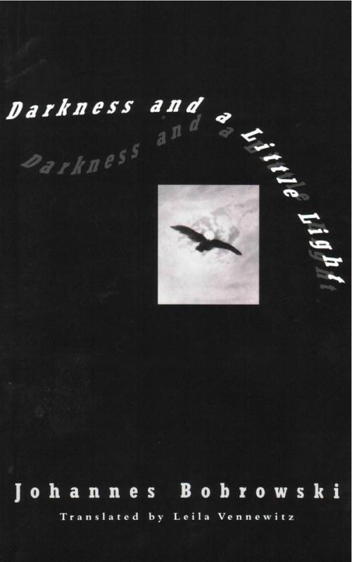 cover of the book Darkness and a Little Light