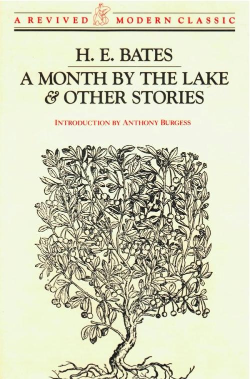 cover image of the book A Month by the Lake & Other Stories