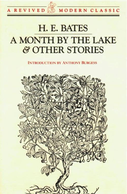 cover of the book A Month by the Lake & Other Stories