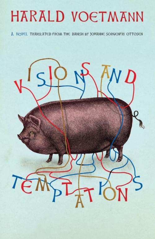 cover image of the book Visions and Temptations