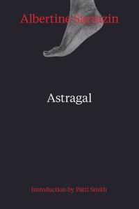 cover of the book Astragal