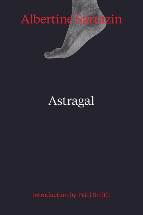 cover of the book Astragal