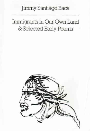 cover of the book Immigrants In Our Own Land