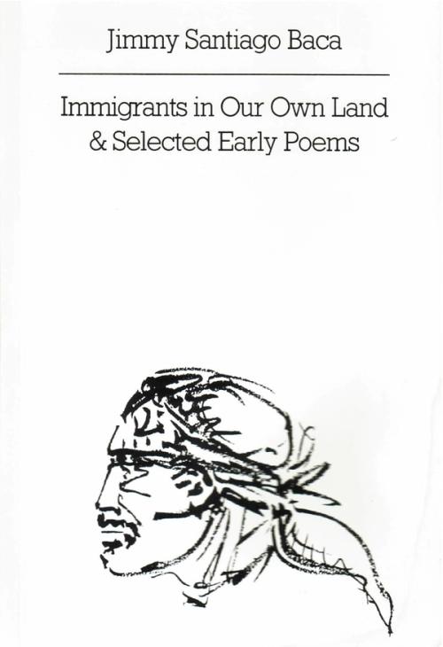 cover of the book Immigrants In Our Own Land