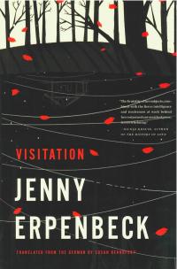 cover of the book Visitation